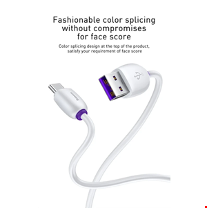  کابل تبدیل USB به USB-C باسئوس مدل CATZS طول 1 متر