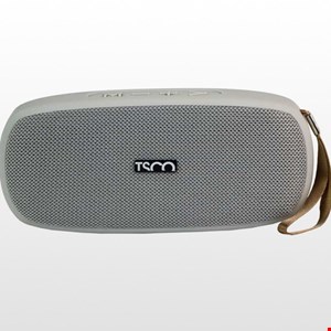 اسپیکر بلوتوثی قابل حمل تسکو مدل TS 2395